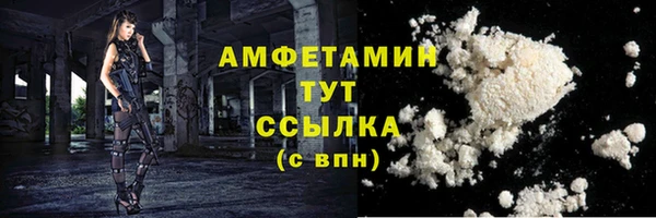 гидра Богородск