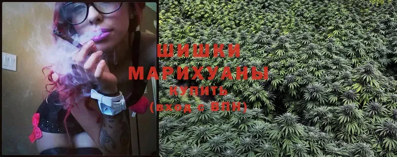 цена   Камызяк  Бошки Шишки White Widow 